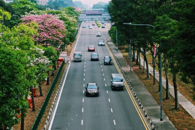 Traffic on a Singapore expressway, representing the range of commercial vehicles covered in this complete buying guide