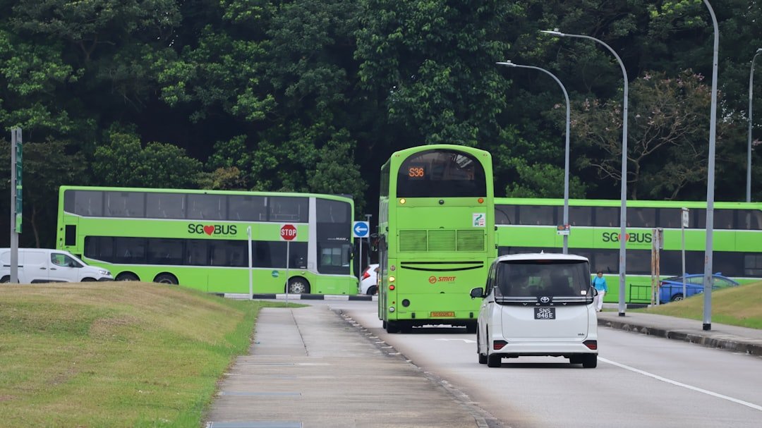 Public buses on a Singapore street, illustrating the private bus, excursion bus and school bus categories LTA regulates separately from goods vehicles